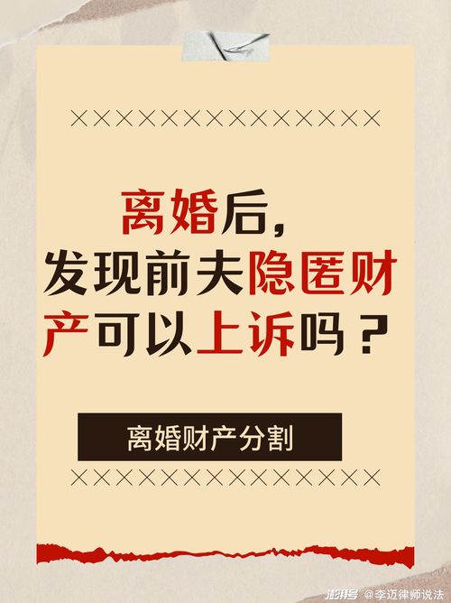 离婚后,发现前夫隐匿财产,可以提起上诉吗